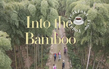 In den Bambuswald