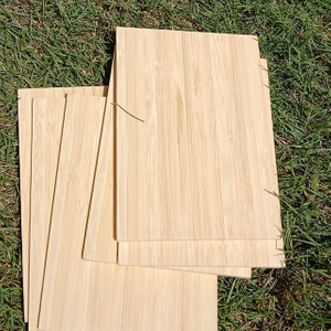 5 mm seitlich gepresstes schmalkörniges Bambussperrholz